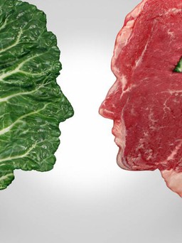 Vì sao cơ thể cần thức ăn từ thịt?
