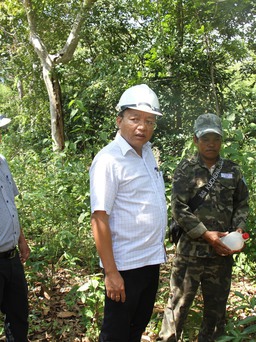 Ninh Thuận: Điều tra vụ dùng hóa chất đầu độc cây rừng tự nhiên