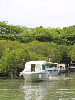 Phát triển H.Côn Đảo trở thành khu du lịch sinh thái biển đảo đẳng cấp quốc tế