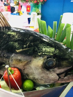 Người Mỹ, Ý ăn cá ngừ trở lại, xuất khẩu tăng mạnh