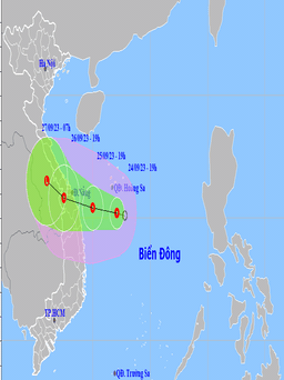 Miền Trung, miền Nam và Tây nguyên ứng phó áp thấp nhiệt đới và mưa lớn