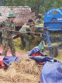 Sau mưa lũ, chiến sĩ biên phòng giúp dân gặt lúa, thầy cõng trò đến lớp