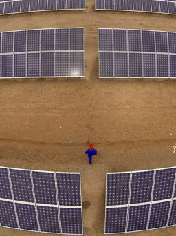 Reuters: Ông lớn pin năng lượng mặt trời muốn đầu tư nhà máy tại Việt Nam