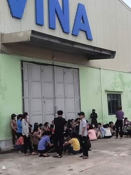 Công ty TNHH Hue Vina nợ lương, bảo hiểm: Đã giải quyết việc làm cho phần lớn công nhân