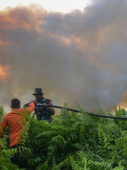 Khói mù ô nhiễm không khí, Malaysia trách cháy rừng Indonesia