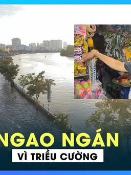 Dân quận 7 ngao ngán vì triều cường biến đường bộ thành ‘đường sông’