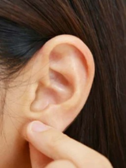 Ngày mới với tin tức sức khỏe: Xoa tai có lợi ích gì?