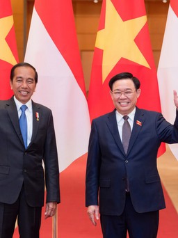Chủ tịch Quốc hội Vương Đình Huệ hội kiến Tổng thống Indonesia Joko Widodo