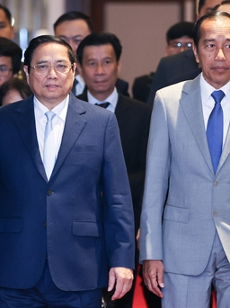 Tổng thống Indonesia kêu gọi doanh nghiệp Việt Nam đầu tư vào thủ đô mới Nusantara