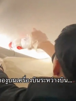 Rắn bò trên ngăn hành lý giữa chuyến bay ở Thái Lan