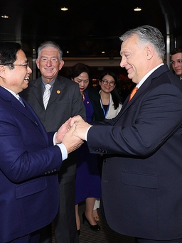 Việt Nam sẵn sàng là cửa ngõ để hàng hóa Hungary tiếp cận ASEAN