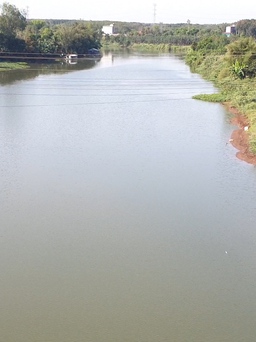 Bình Phước: Phát hiện thi thể nổi trên sông Bé