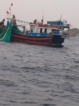 Xâm hại 'trái tim Nha Trang', 2 chủ tàu cá bị phạt 350 triệu đồng