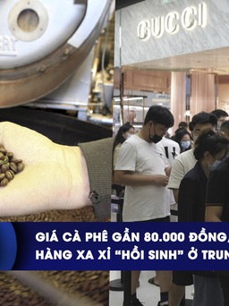 CHUYỂN ĐỘNG KINH TẾ ngày 30.1: Giá cà phê gần 80.000 đồng/kg | Hàng xa xỉ ‘hồi sinh’ ở Trung Quốc