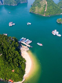 Không phải Phú Quốc hay Đà Nẵng, đây là bãi biển Việt Nam đẹp nhất thế giới