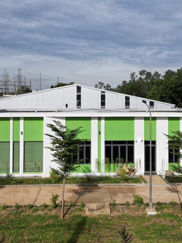 Green Foods VN khánh thành nhà máy sản xuất bún khô và bánh tráng