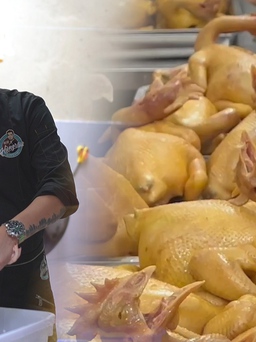 Ngày bán 400 con gà ủ muối nhờ công thức ướp thảo mộc, loại gà "gãy xương"