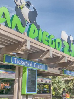5 điểm du lịch tại San Diego làm say mê du khách