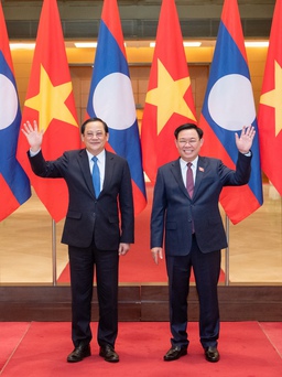 Việt Nam sẵn sàng hỗ trợ Lào đảm nhiệm thành công các trọng trách quốc tế