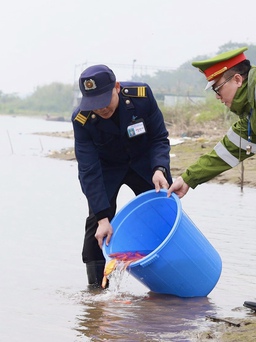 Cá chép tiễn Táo quân về trời được xe cảnh sát 'hộ tống' ra sông Hồng