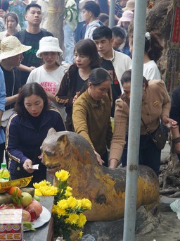 Tái diễn cảnh chen nhau xức dầu lên tượng 'hổ thần' ở chùa Hương Tích