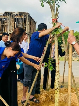 Quảng Bình, Quảng Trị khai hội trồng cây