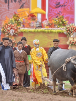 Về Hà Nam xem 'vua đi cày' trong lễ hội Tịch điền
