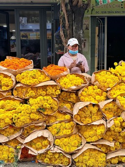 Cúc vạn thọ 'xả lỗ' đầy chợ hoa lớn nhất TP.HCM: Tiểu thương mong ngóng