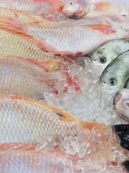 Thời gian bảo quản thịt, cá, hải sản đông lạnh là bao lâu?