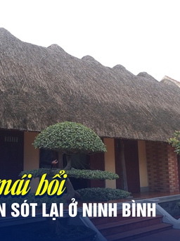 Chiêm ngưỡng ngôi nhà mái bổi tuyệt đẹp hiếm hoi còn sót lại ở Ninh Bình