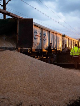 Ukraine đòi bồi thường vụ đổ ngũ cốc, Ba Lan dọa đóng cửa biên giới