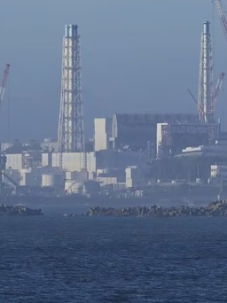 Nhà máy hạt nhân Fukushima lại rò rỉ nước nhiễm phóng xạ