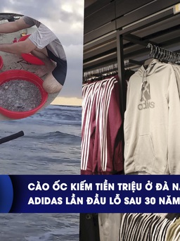 CHUYỂN ĐỘNG KINH TẾ ngày 15.3: Cào ốc kiếm tiền triệu ở Đà Nẵng | Adidas lần đầu lỗ sau 30 năm