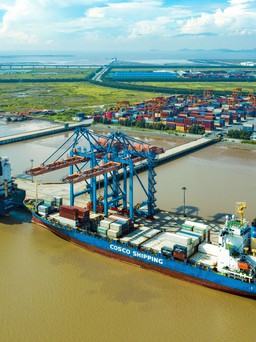 Hạn chế tối đa vốn ngân sách làm siêu cảng Cần Giờ 5,5 tỉ USD