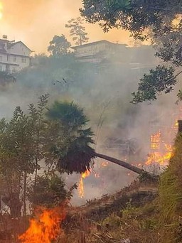 Đốt cỏ làm cháy khu homestay bỏ hoang ở Đà Lạt