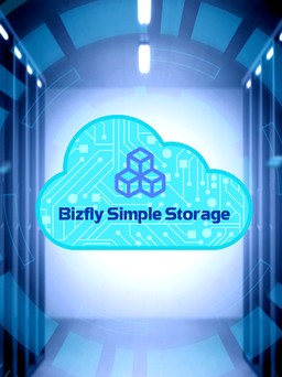 Tiết kiệm chi phí và đáp ứng nhu cầu lưu trữ dữ liệu với Bizfly Simple Storage