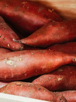 Ngày mới với tin tức sức khỏe: Tại sao ăn khoai lang nên giữ nguyên vỏ?