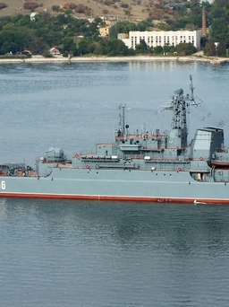 Ukraine tuyên bố đánh trúng 2 tàu đổ bộ lớn của Nga tại Crimea