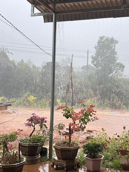Cơn mưa đầu mùa giúp vùng hạn Kon Tum giải nhiệt