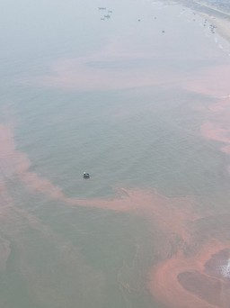 Biển Hà Tĩnh xuất hiện vệt nước màu đỏ