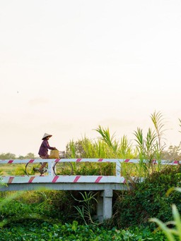 Ba Tri - Du lịch kiểu mới: Vừa học hỏi, vừa sống yêu thương