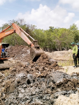 Bạc Liêu: Hai hộ dân tái chiếm đất nhận khoán, làm chết rừng phòng hộ
