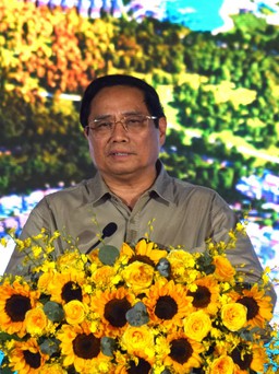 Thủ tướng Phạm Minh Chính: Phú Quốc phải phát huy được giá trị của rừng