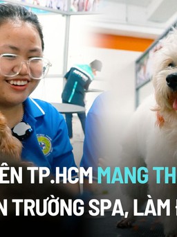 Sinh viên TP.HCM mang hàng nghìn thú cưng đến trường spa, làm đẹp
