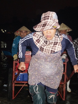 Chợ cá Hải Bình tấp nập trong đêm