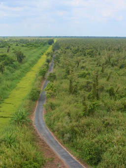 Cà Mau: Hơn 92.760 ha diện tích đất có rừng