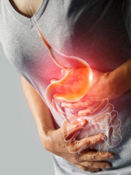 Probiotics có tác dụng ‘chữa bệnh’ rối loạn tiêu hóa không?