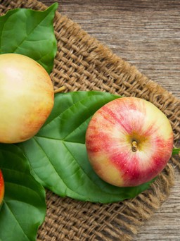 Ngày mới với tin tức sức khỏe: 4 loại trái cây tốt nhất cho sức khỏe
