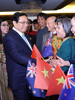 Nhiều cơ hội cho doanh nghiệp Việt vào thị trường New Zealand
