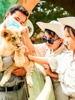 Siêu hot trải nghiệm ‘nhập vai bảo mẫu nhí’ cực hút khách tại Vinpearl Safari
